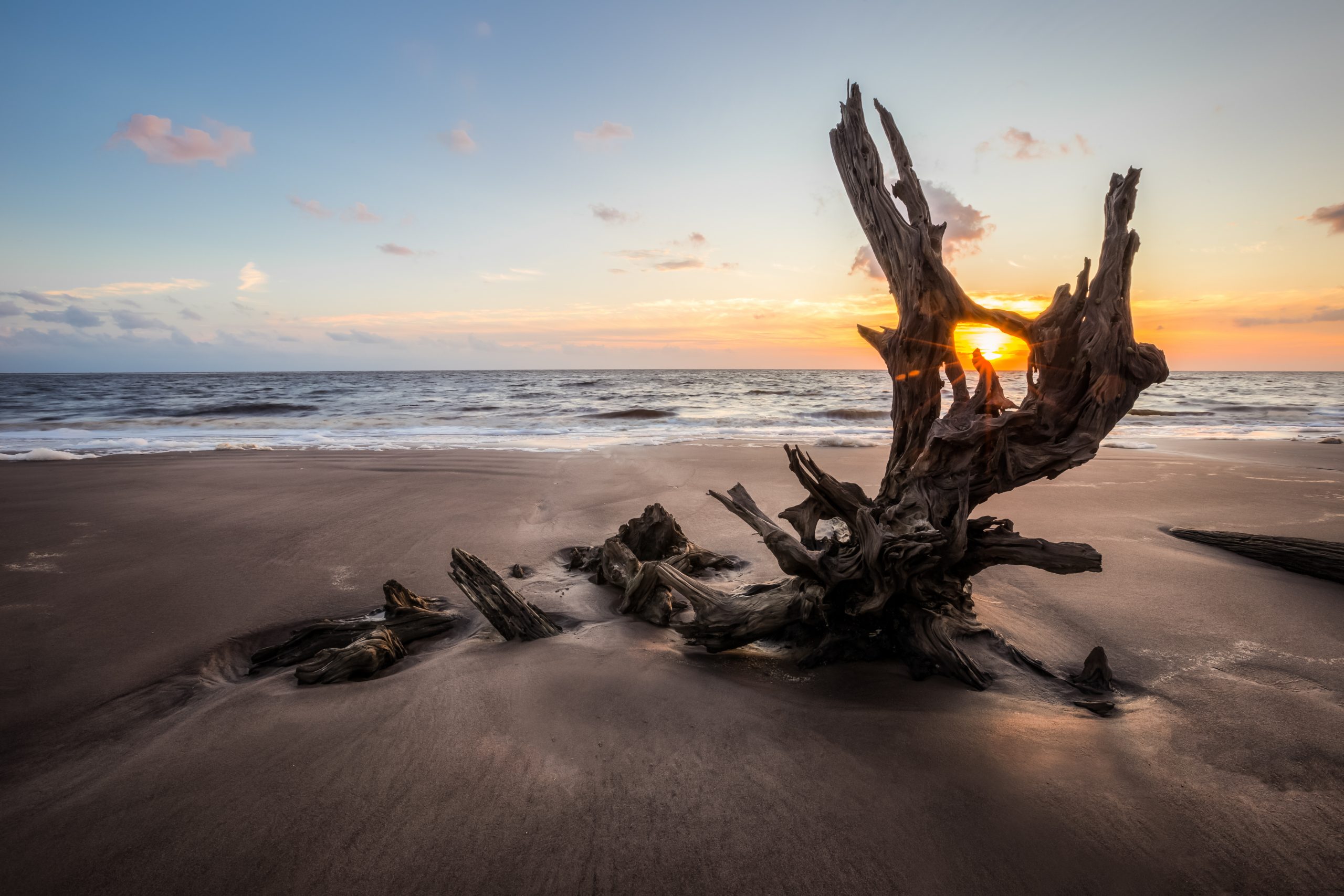 Sunrise photo of driftwood on Talbot Island