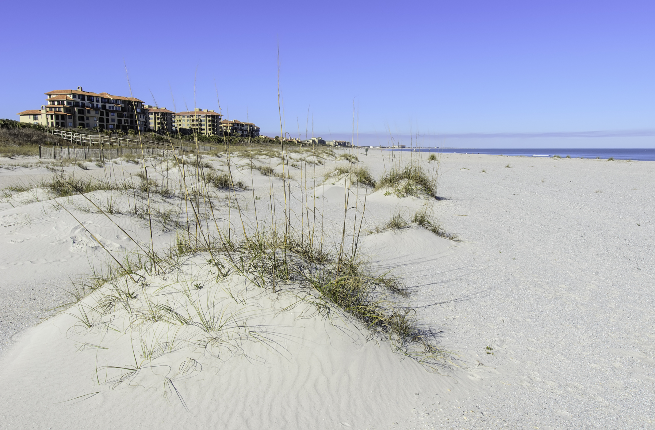 Low dunes with sparse grass at Jacksonville Beach, Florida, on a sunny afternoon in winter